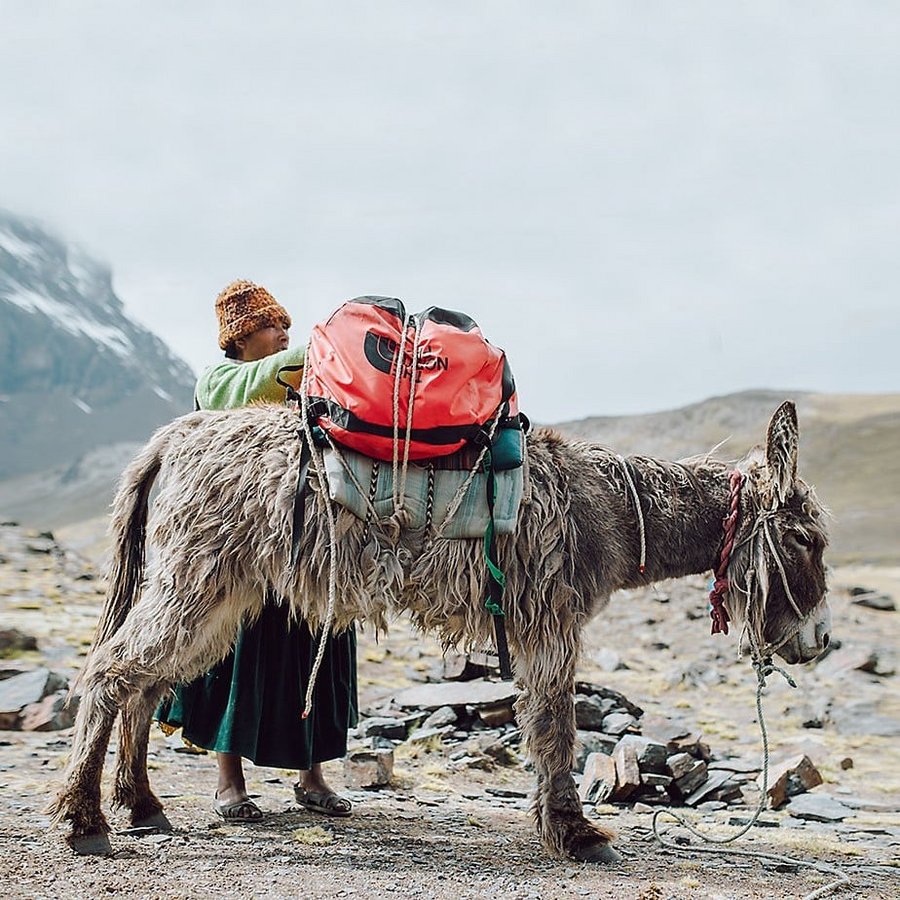 Base Camp Small, 50 Litres Duffel Bag/Backpack