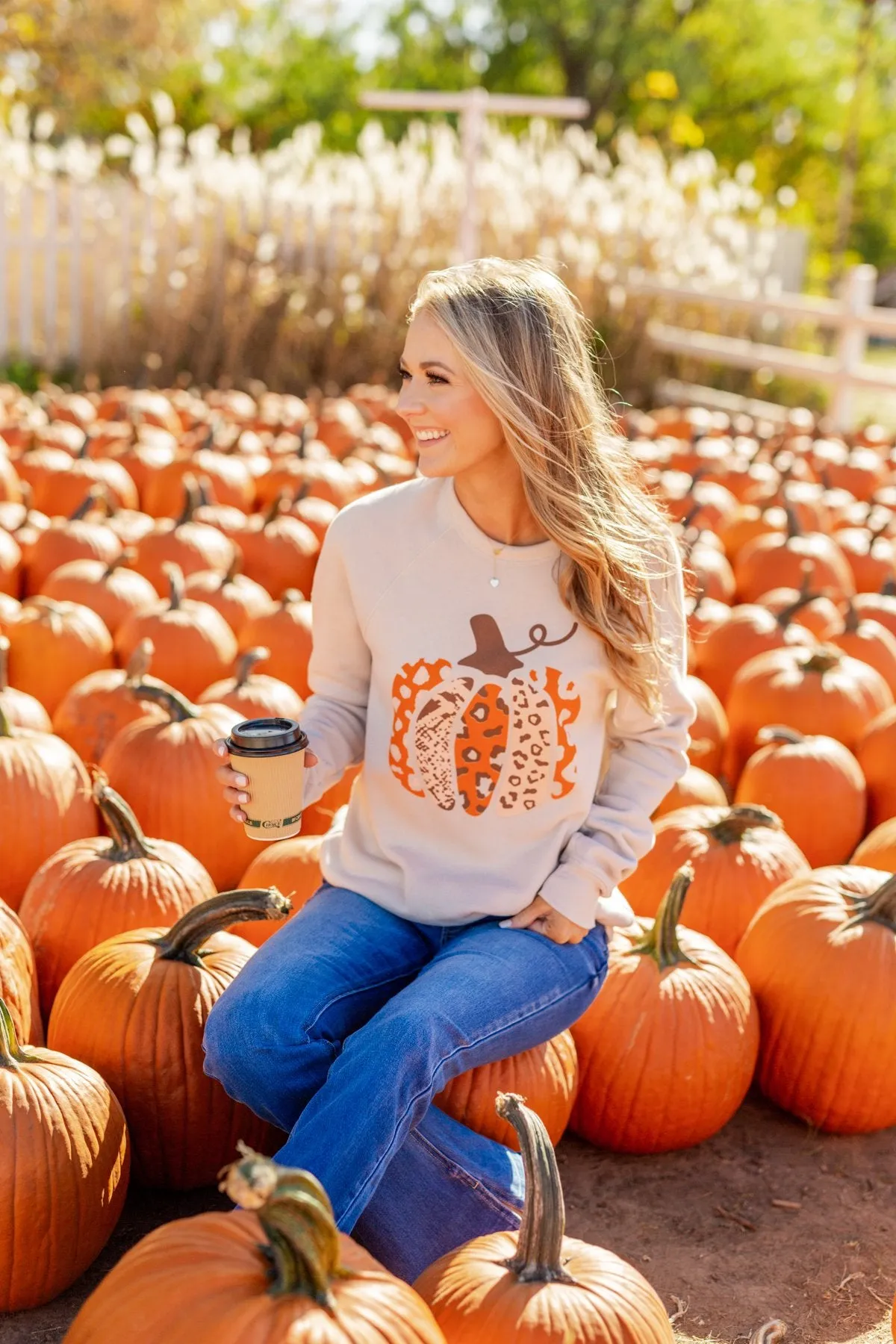 Picking Out Pumpkins Graphic Pullover- Light Taupe